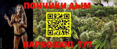 шишки Краснокаменск